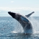 todd-cravens-QnBrjY-nFUs-unsplash-1024x680